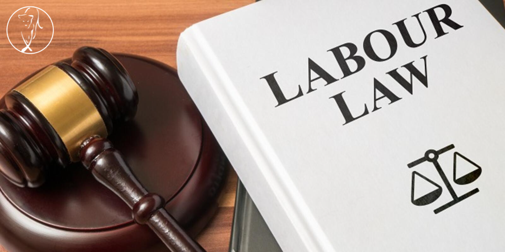 Read more about the article Labour Law Attorneys in Grahamstown | Protecting Workplace Rights
